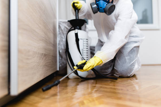 Best Local Pest Control Services  in Panama, OK