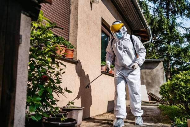 Best Mosquito Control Services  in Panama, OK