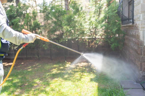 Best Exterminator Services  in Panama, OK