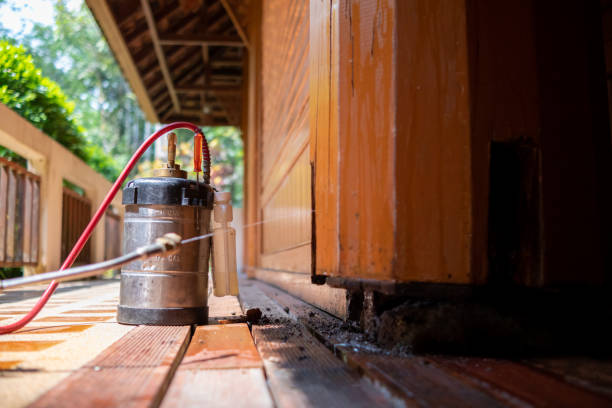 Best Pest Control Cost  in Panama, OK