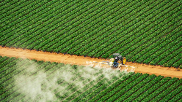 Trusted Panama, OK Pest Control Experts